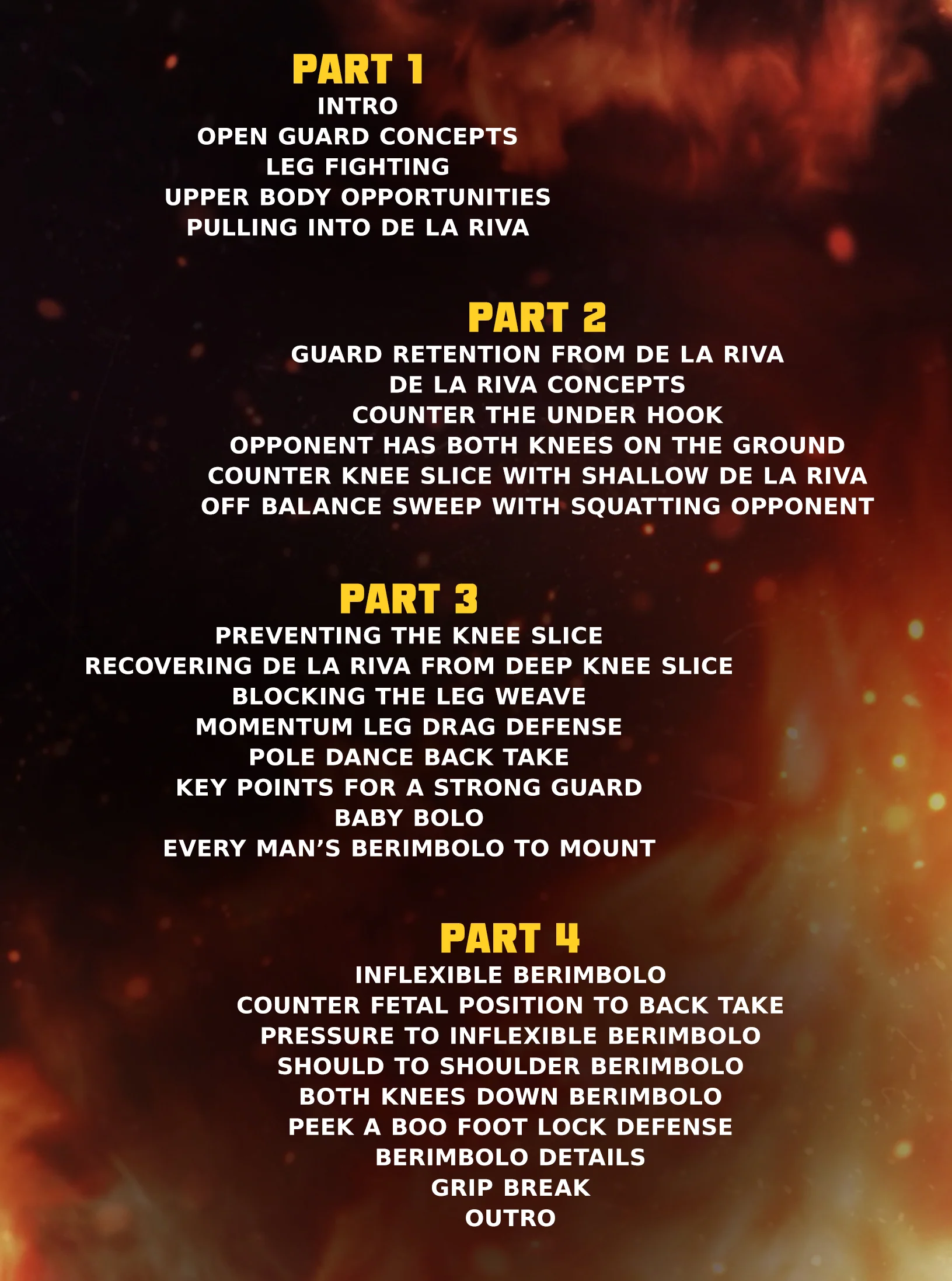 Berimbolos for Everyone by Samuel Braga - Image 2