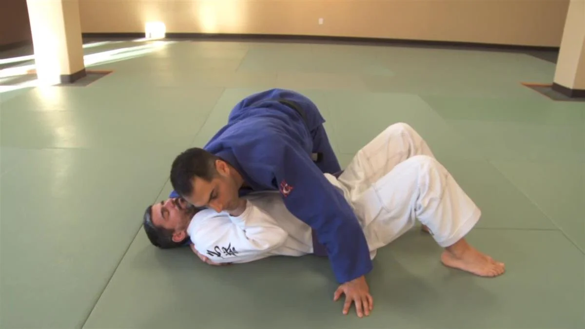 Brazilian Jiu Jitsu Brown Belt Requirements by Roy Dean - Image 2