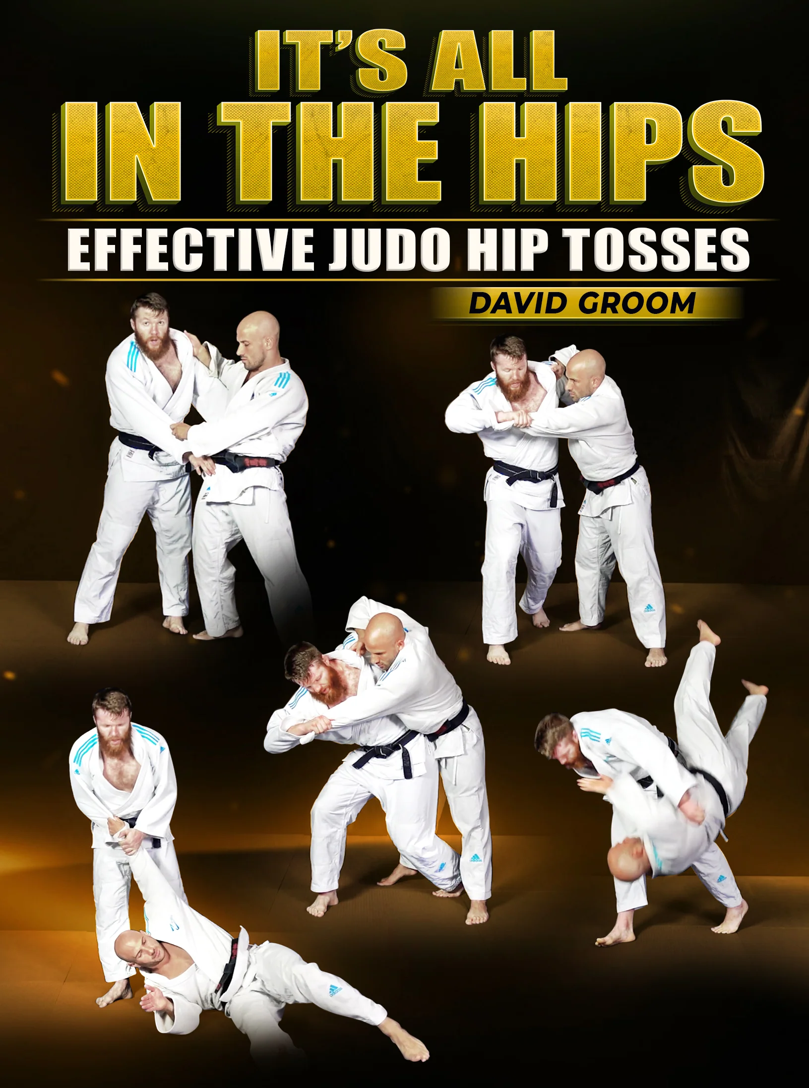 Its All In The Hips by David Groom
