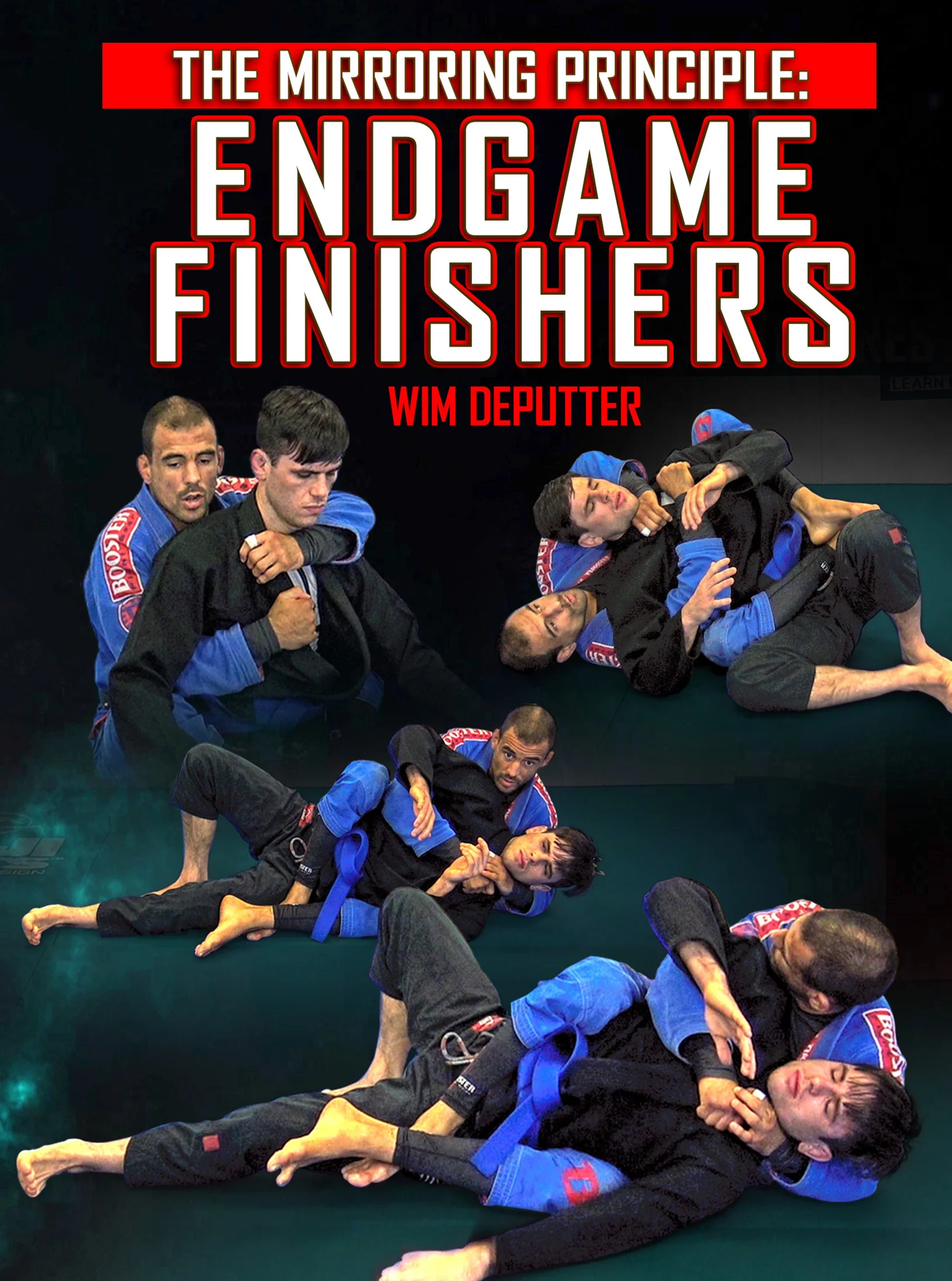 Mirroring Principle: End Game Finishers by Wim Deputter