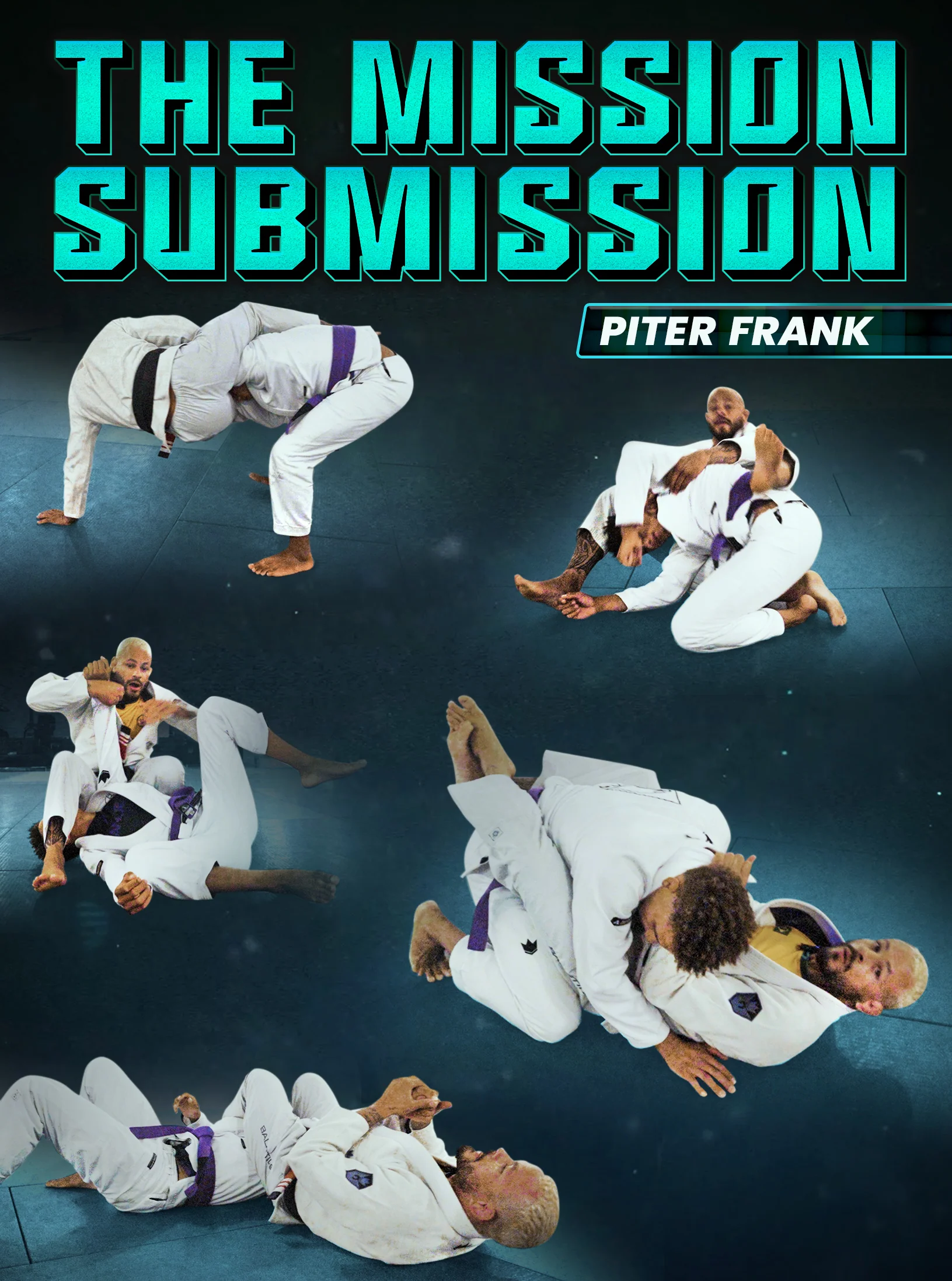 The Mission Submission by Piter Frank