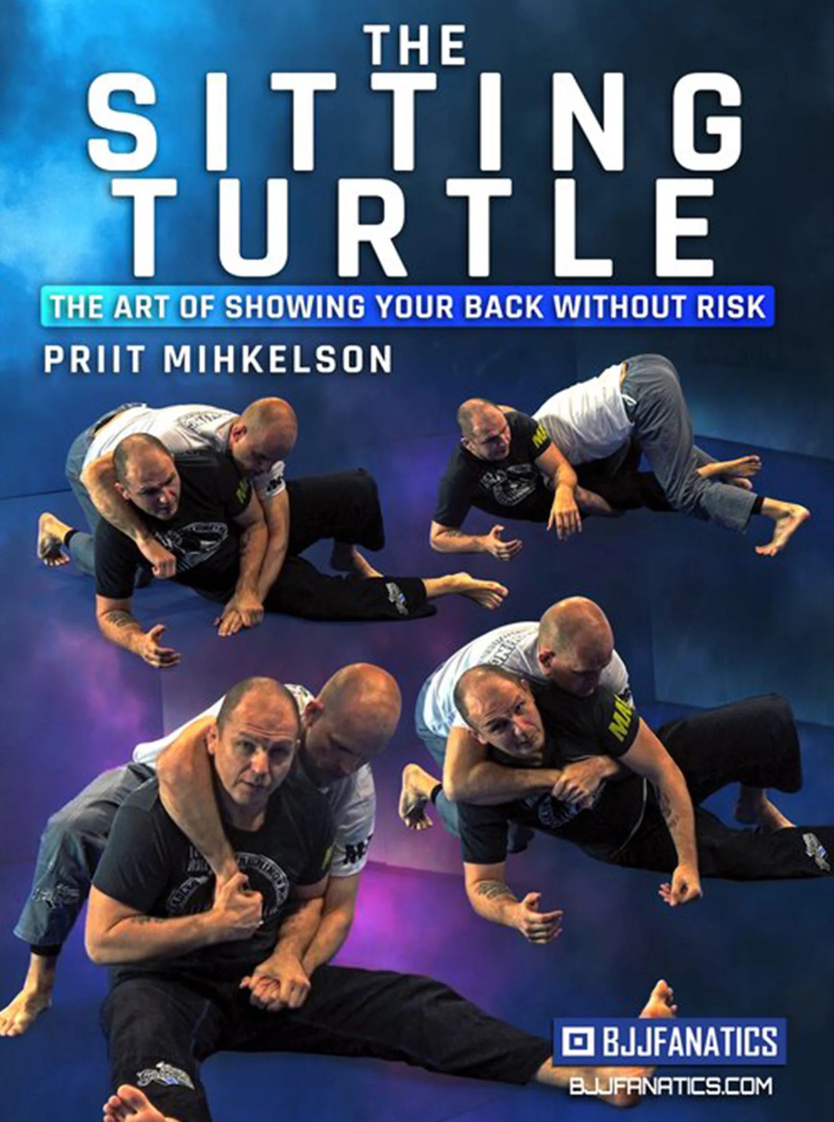 The Sitting Turtle by Priit Mihkelson